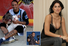 Футболист, cкормивший подругу собакам, вернулся в профессиональный спорт