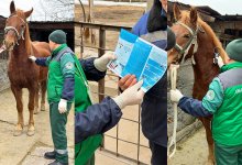 Сельскохозяйственных животных вакцинируют бесплатно в Алматы