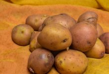 Картофель по завышенной цене продавали в Жанаозене