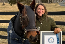 Самая старая в мире лошадь живет в США