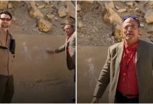 Экскурсовод арестован за осквернение Пирамиды в Египте (ВИДЕО)