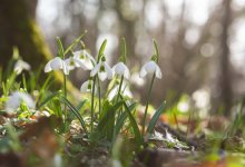 Какой будет погода в марте в Казахстане