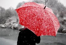 Шымкент ждут заморозки, дожди и туман уже с 2 марта