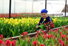 Все цвета бизнеса