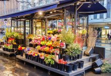 Какие страны поставляли больше всего цветов в Казахстан