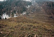 Очередной оползень сошел на дворы жилых домов в Алматинской области