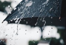 Прогноз не весенний: какая погода ожидает жителей Шымкента