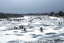 Ловись, рыбка, большая…