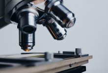 Пересадка кала может омолодить яичники