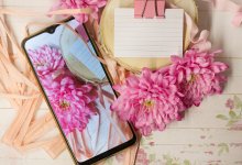 К 8 Марта активизировались мошенники: казахстанцев предупредила Генпрокуратура