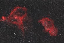 Роскосмос показал "космические букеты" к 8 Марта