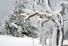 В Казахстане ожидаются дождь, снег и гололед