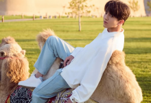 Фанаты Димаша Кудайбергена бурно отреагировали на поздравление певца