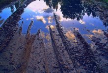 Гнилая вода и канализация под окнами тревожит жителей Актау