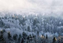 Туман и гололед: жителей Алматы предупредили о непогоде