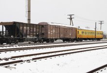 Поезд сбил 11 лошадей на железнодорожных путях в Акмолинской области