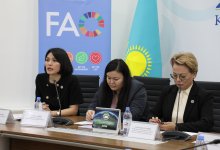 Степные пастбища помогут в борьбе с изменением климата