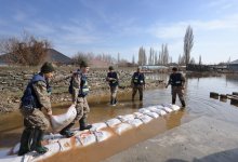 Снег всему виной?