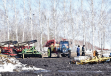 Ставка на урожай