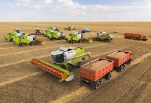 Казахстан резко нарастил экспорт зерна и муки