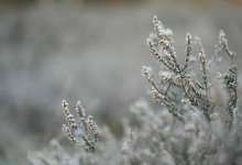 Туман и усиление ветра прогнозируют синоптики в Казахстане 15 марта