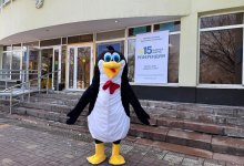 Пингвин пришел голосовать на референдуме в Алматы