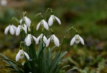 Контрасты весны: до плюс 20 градусов потеплеет в Казахстане