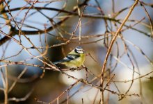 Погода порадует алматинцев весенним теплом и солнцем