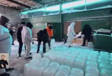 Семейное дело: 200 кг наркотиков изъяли в нарколаборатории в Акмолинской области (ВИДЕО)