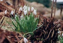 Солнечно и тепло будет в Алматы 18 марта