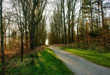 До плюс 23 градусов потеплеет в Казахстане