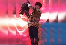 Беркуту Зангару нет равных