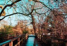 Весеннее тепло: до +16 градусов пообещали в Алматы