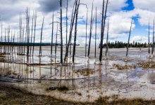 Горячий источник в Мангистау превратился в свалку