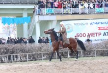 Казахстанец преодолел 500 метров на коне со скоростью 60 км/ч