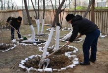 В Тазару күні военнослужащие провели в гарнизонах экологические акции