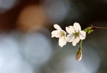 Туман, гололед и сильный ветер: погода по Казахстану на 25 марта