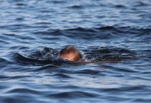 Купальный сезон открыли в Шымкенте