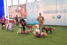 Служебные собаки Национальной гвардии РК подтвердили высокий уровень подготовки