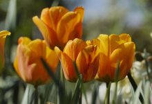 Когда в Казахстан придет настоящее тепло