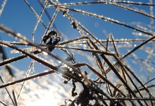 Жителей Астаны предупредили о гололеде