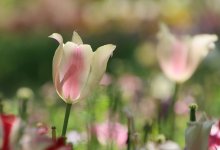 До +28 градусов: по-летнему жарко станет в Шымкенте