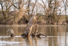 Поиски утонувшего ребенка продолжаются в Туркестанской области