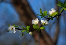 Туман и гололед накроют север Казахстана