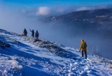 Туристы заблудились в горах Алматинской области