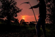 Мужчина обезглавил продавца и забрал его голову в Индии