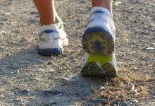 Собака вцепилась в голову бегуньи на Кипре