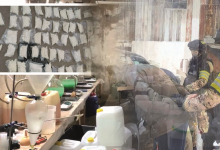 Прервана преступная цепочка