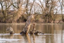 Водолазы, 90 человек и шесть беспилотников продолжают поиски ребенка в Актюбинской области (ВИДЕО)