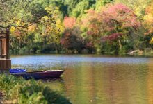 Мужчина утопил супругу ради бизнеса в Павлодаре